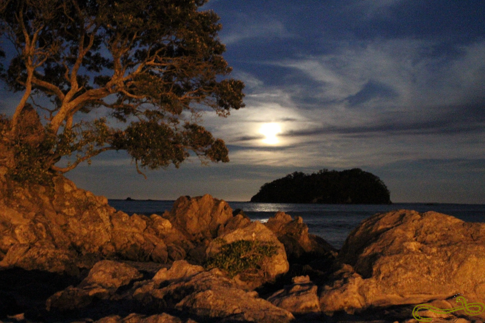 Fullmoon night beach New Zealand